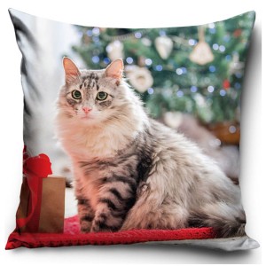 Poszewka dziecięca świąteczna 40x40 puszysty kotek, miękki velvet