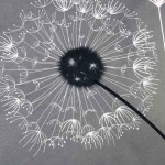 Pościel bawełniana 220x200 Dandelion szara w białe i czarne dmuchawce, Cottonlove