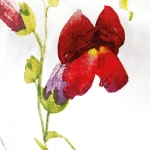 Pościel bawełniana 140x200 Wild Meadow biała w kolorowe kwiaty, Cottonlove